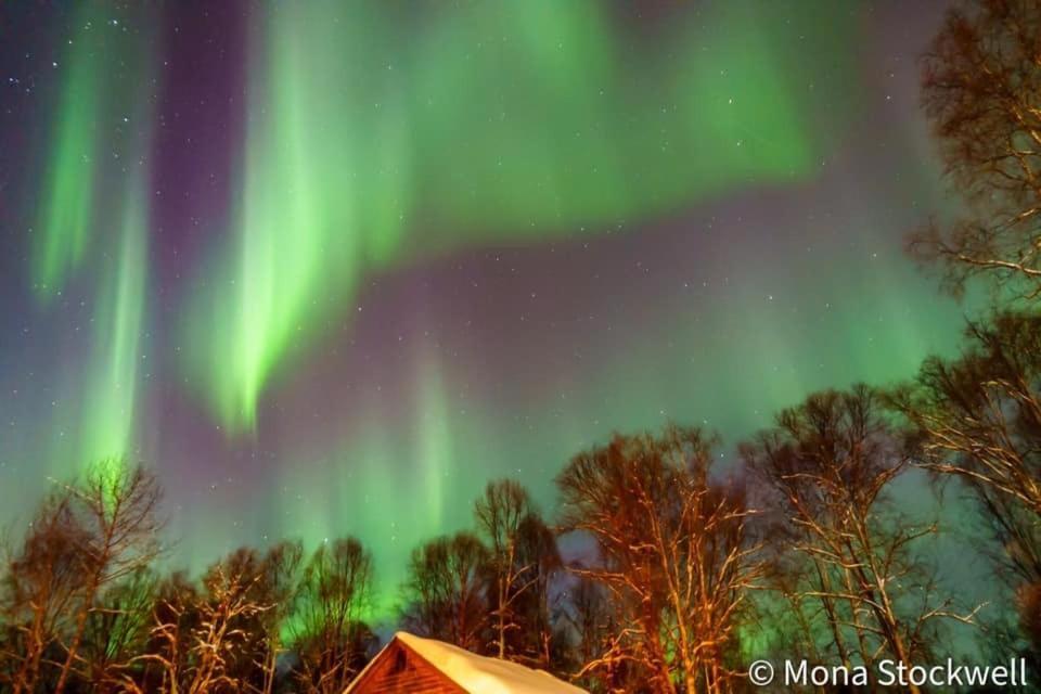 Susitna River Lodging, Suites Толкітна Екстер'єр фото