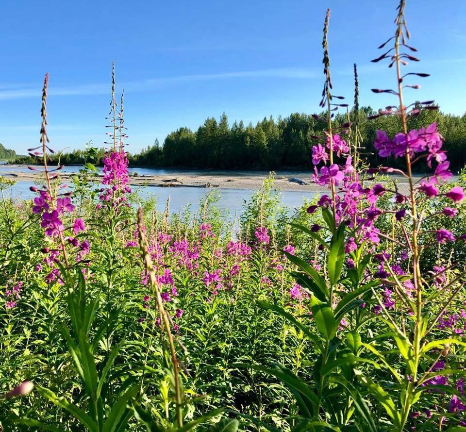 Susitna River Lodging, Suites Толкітна Екстер'єр фото