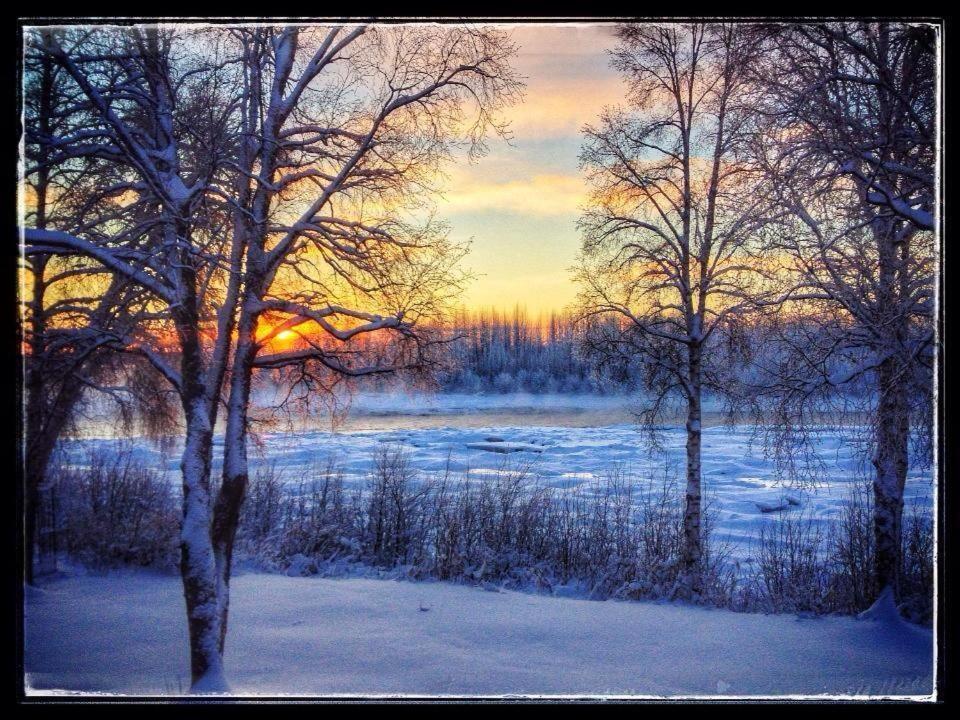 Susitna River Lodging, Suites Толкітна Екстер'єр фото